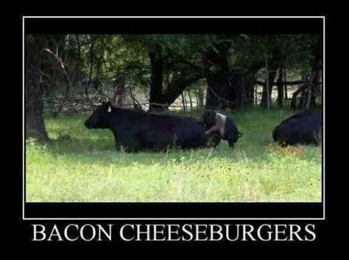 Bacon Cheeseburgers