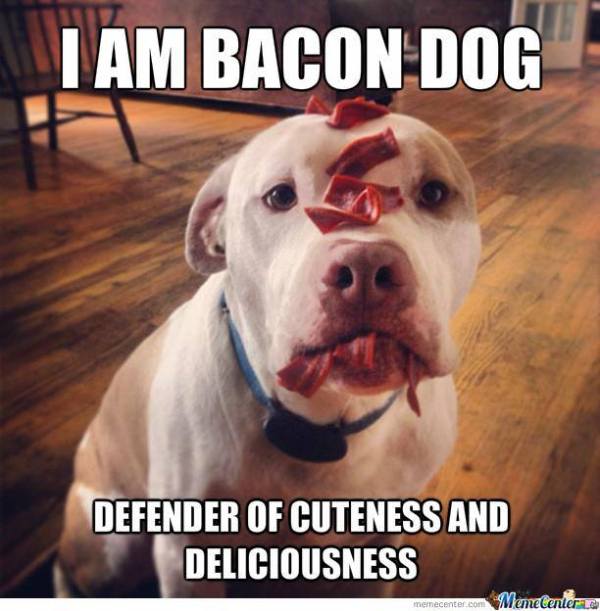 Top 5 Bacon Memes for the Week Ending January 17, 2014