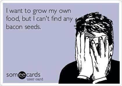 I want to grow my own food, but I can't find any bacon seeds.