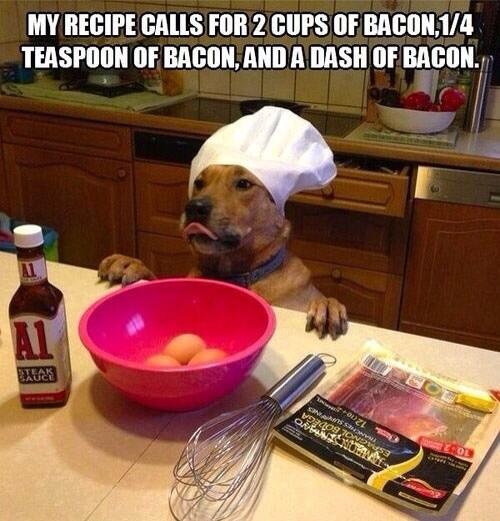 Dog chef loves bacon