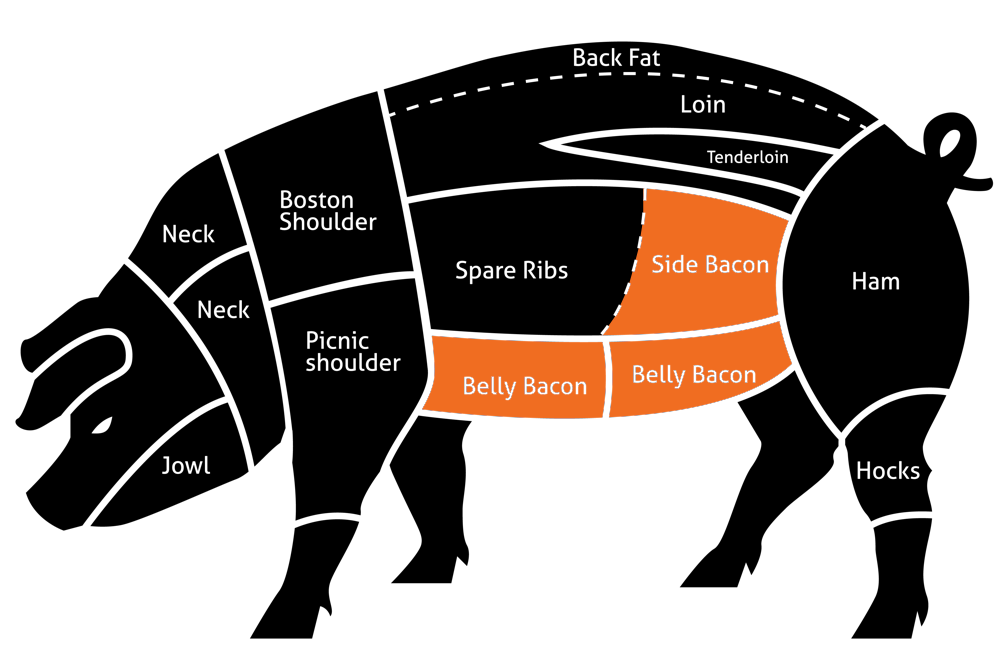 Types of bacon come from the belly or near the belly of a pig.