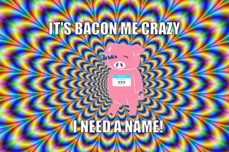 It’s Bacon Me Crazy, I Need a Name!
