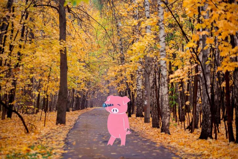 An Evening Walk in Autumn, By Pip, the Bacon Poet